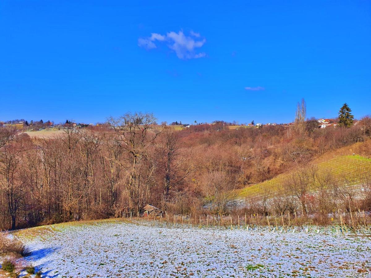 Holiday Home Bella Vita Gornji Mihaljevec Екстериор снимка